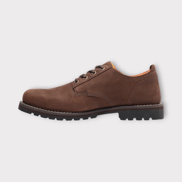 Mens Timberland Redwood Falls Lace-Up Waterproof Shoe in Dark Brown. TB0A699PW07 main image 4